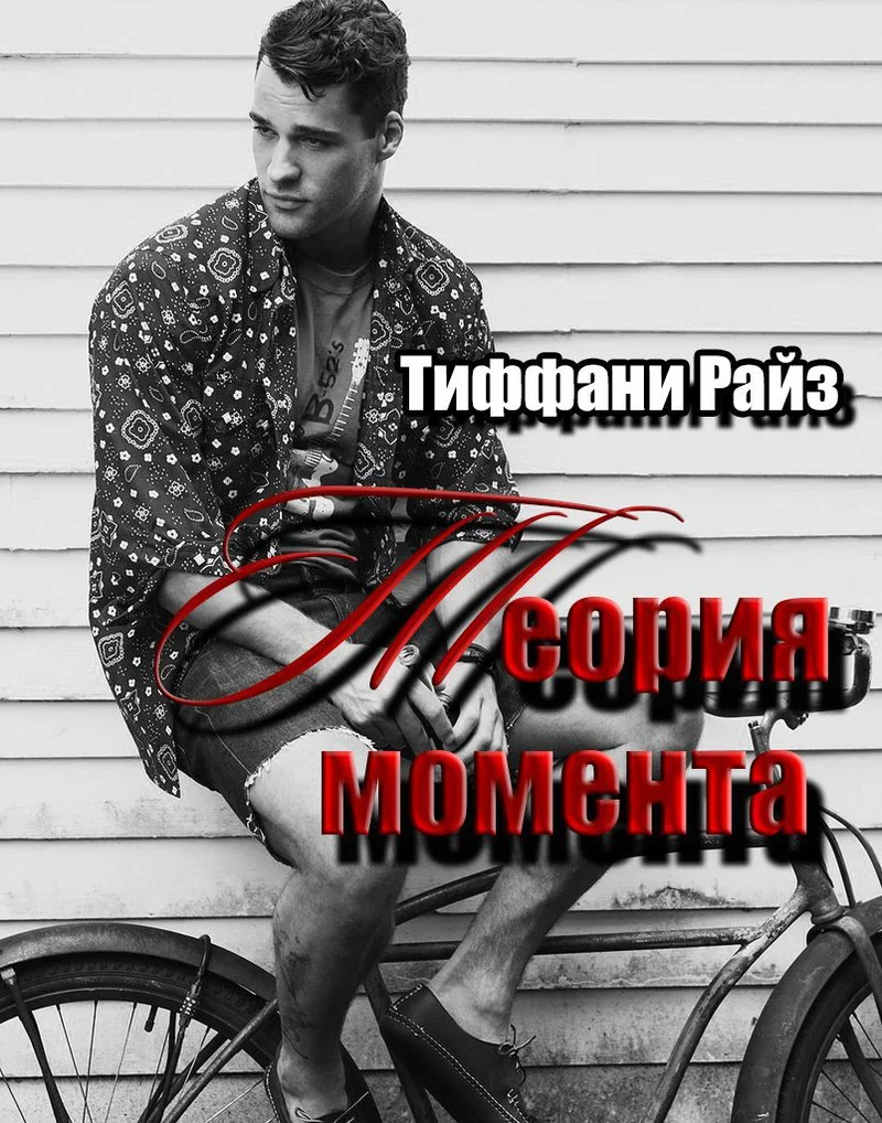 Обложка Теория момента