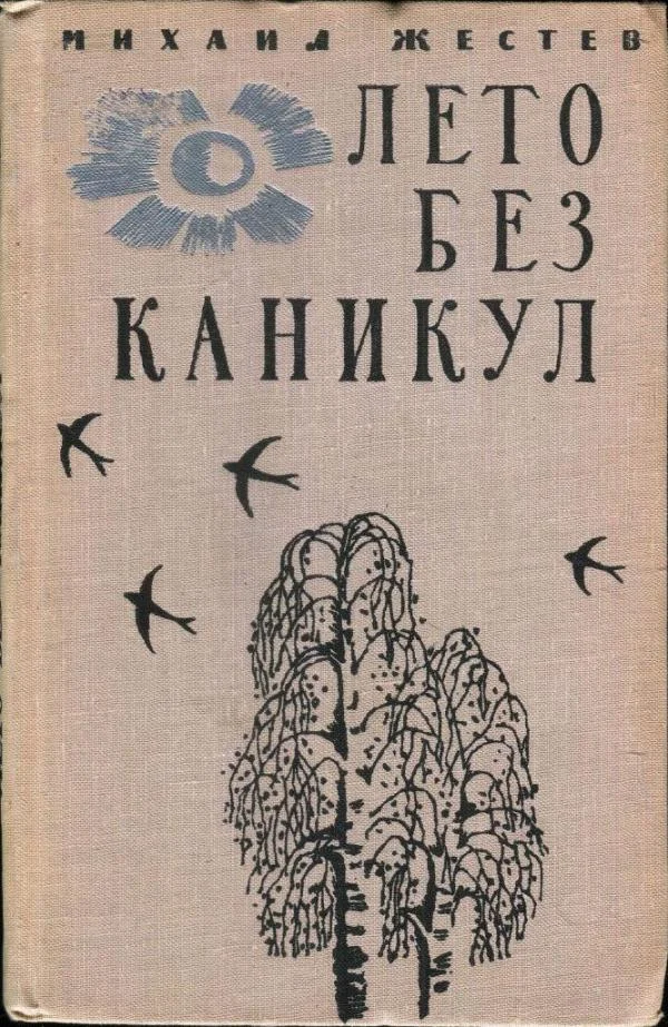 Обложка Лето без каникул