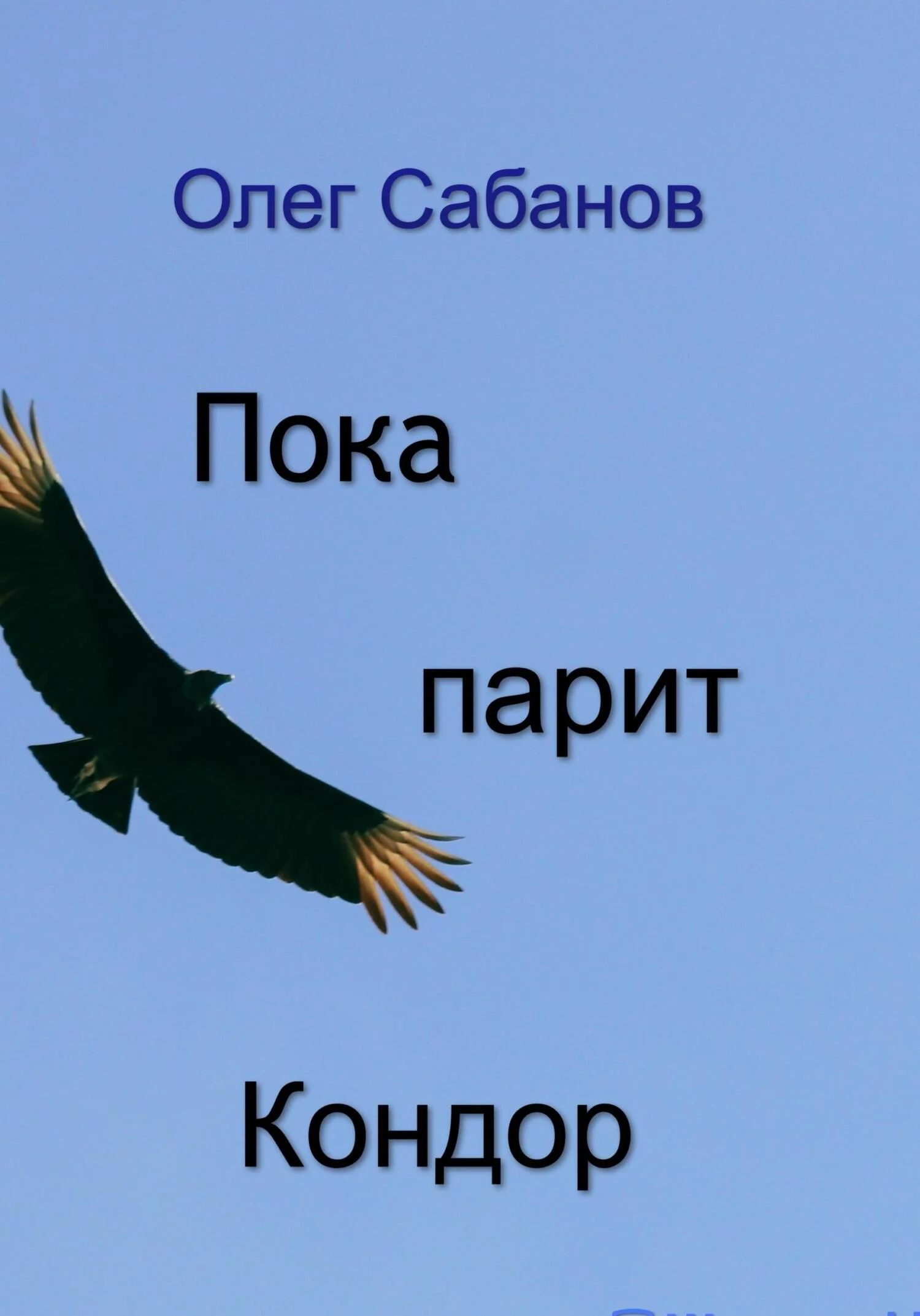 Обложка Пока парит кондор