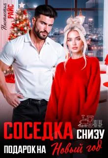 Обложка Соседка снизу. Подарок на новый год