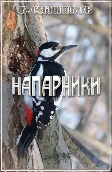 Обложка Напарники