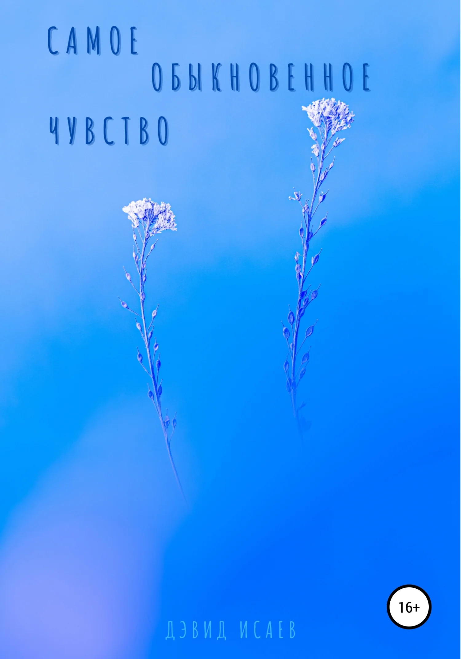 Обложка Самое обыкновенное чувство