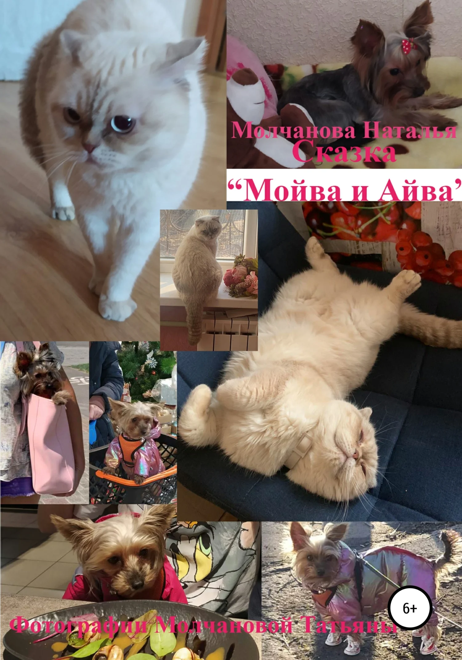 Обложка Сказка «Мойва и Айва»