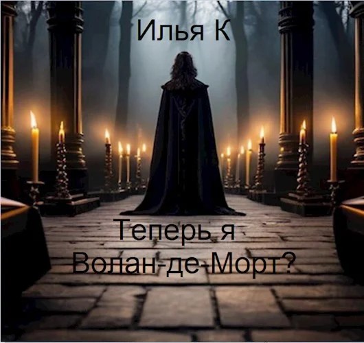 Обложка Теперь я Волан-де-Морт?