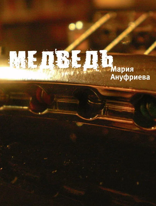 Обложка Медведь