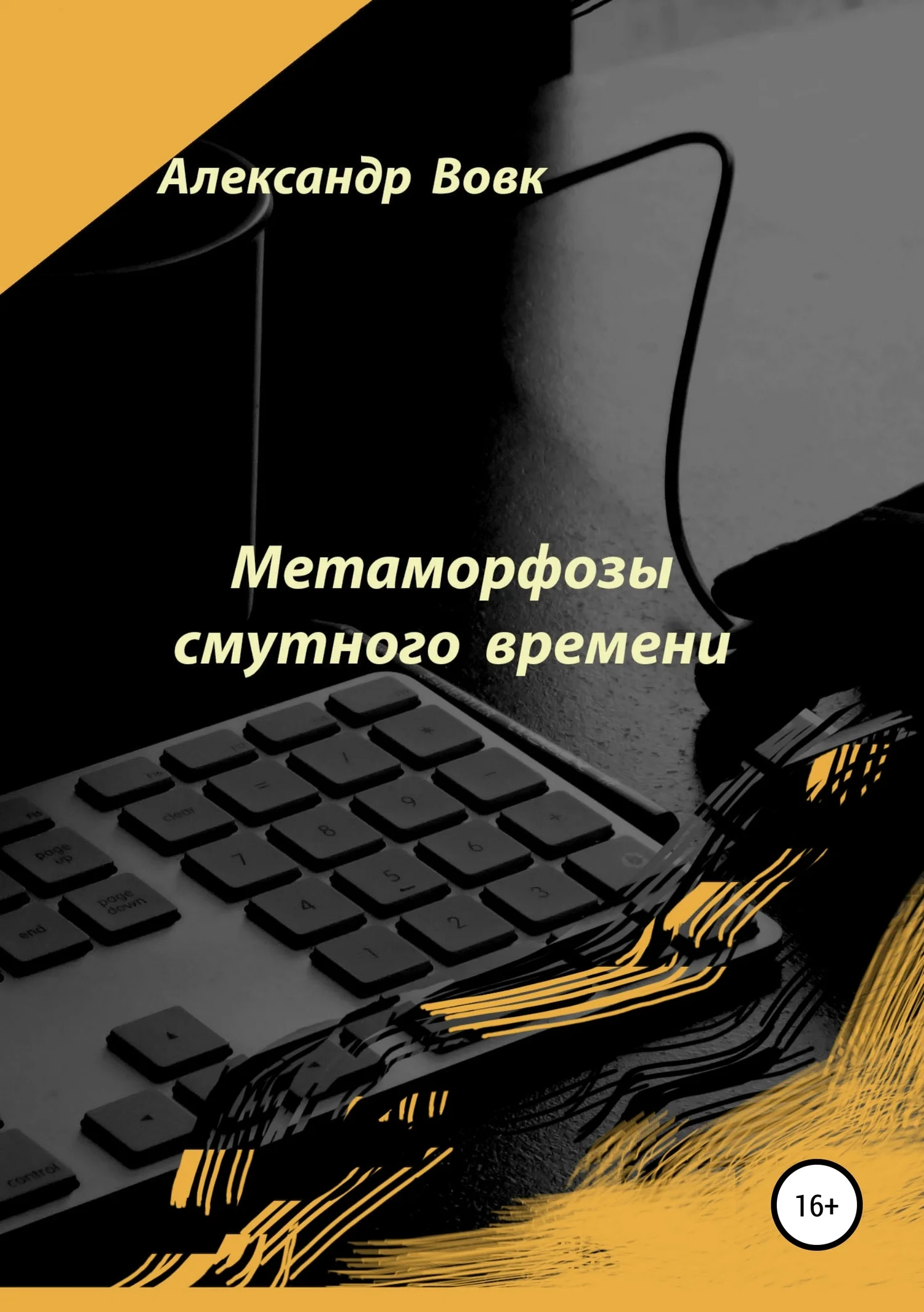 Обложка Метаморфозы смутного времени