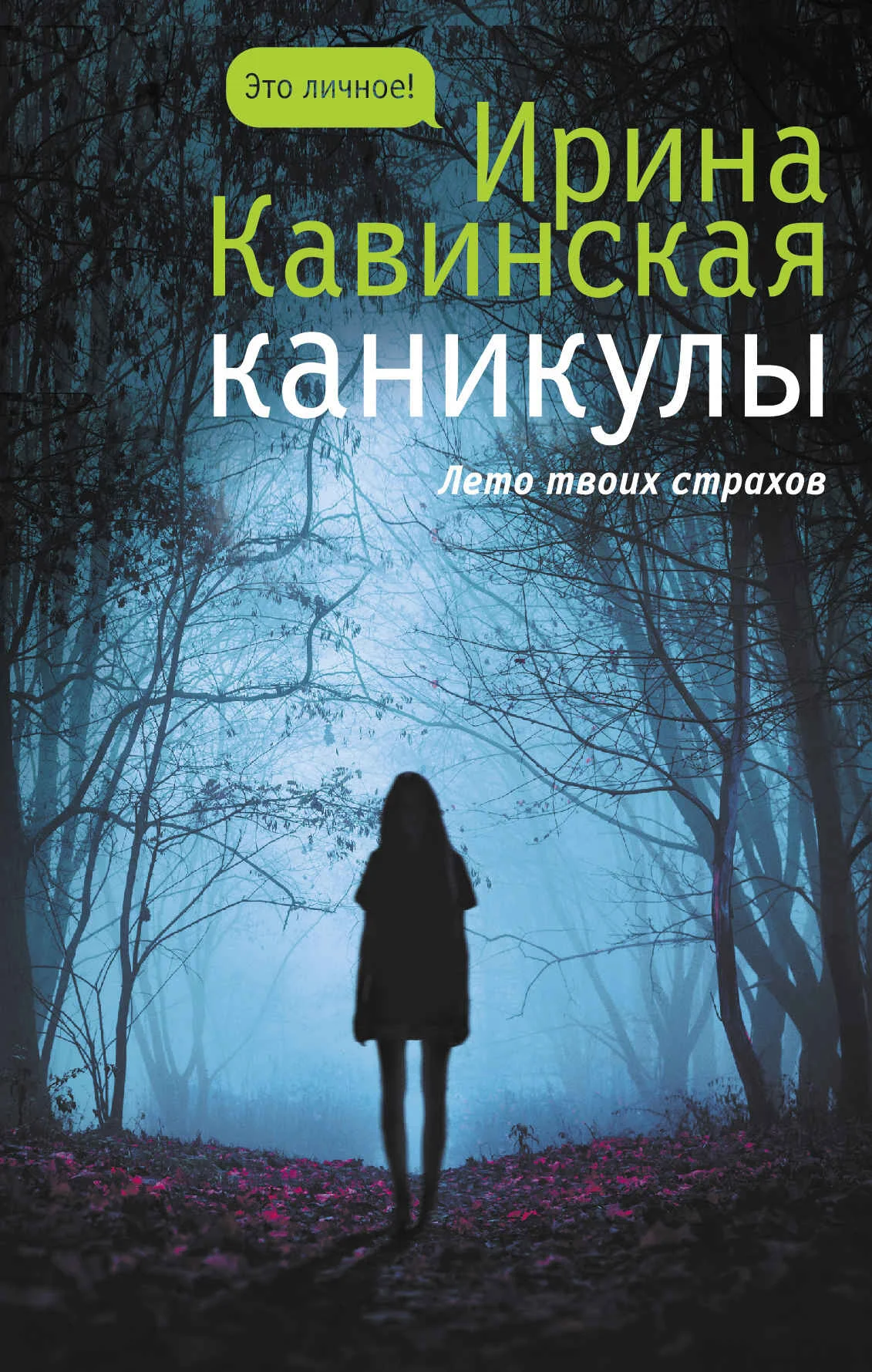 Обложка Каникулы