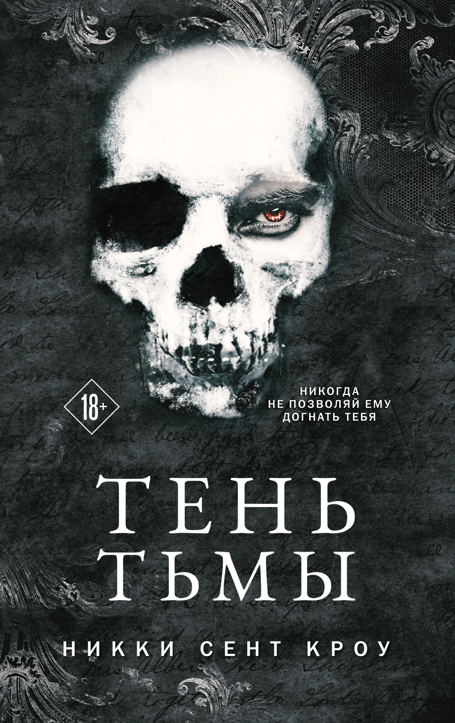 Обложка Тень Тьмы