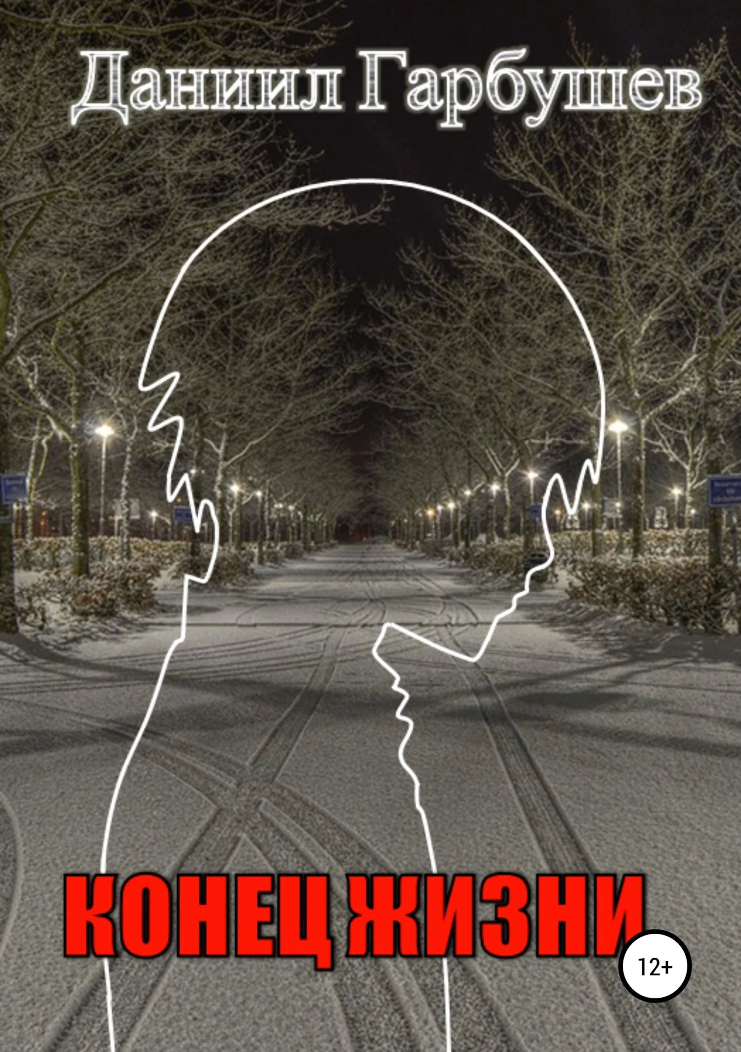 Обложка Конец жизни