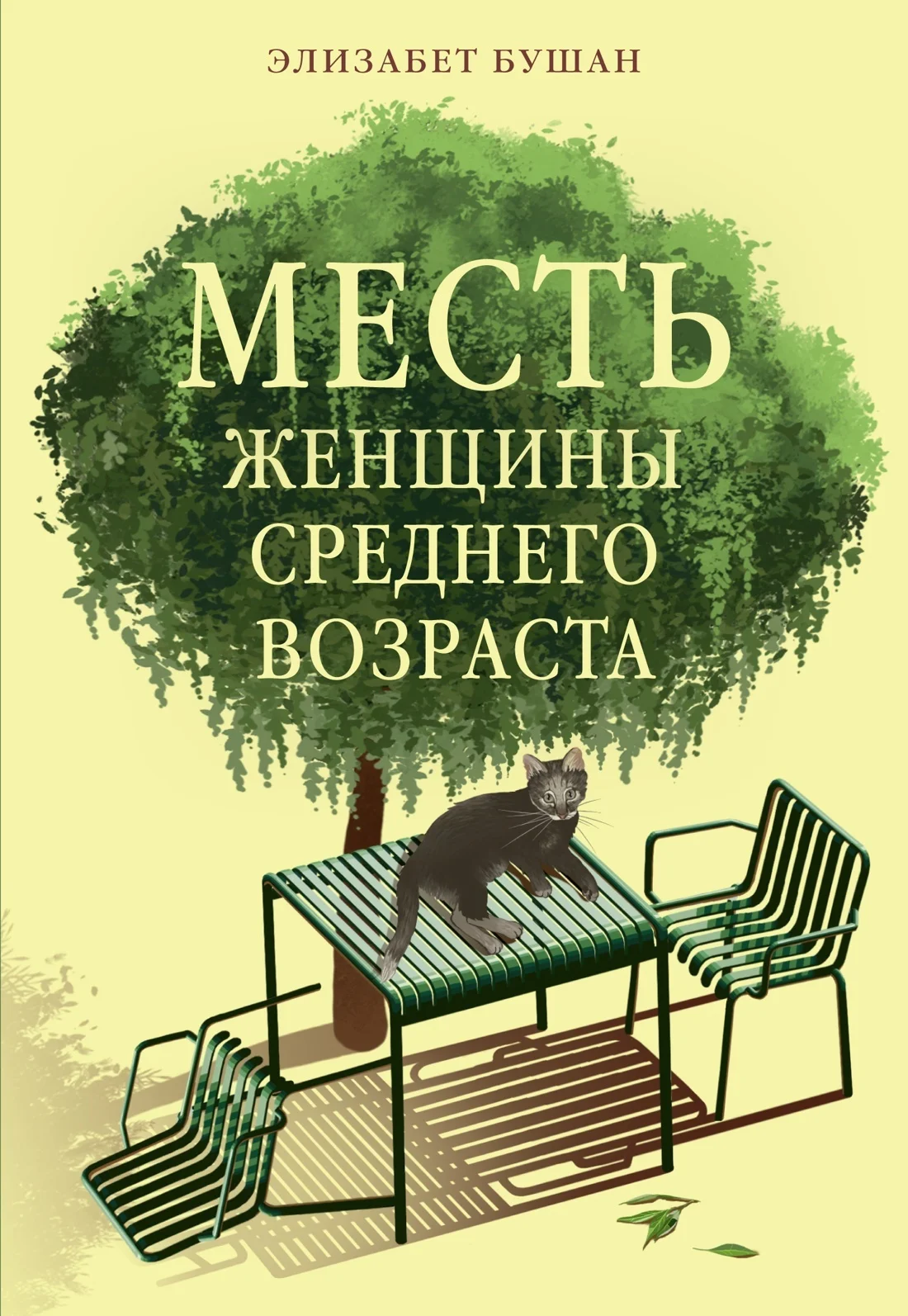 Обложка Месть женщины среднего возраста