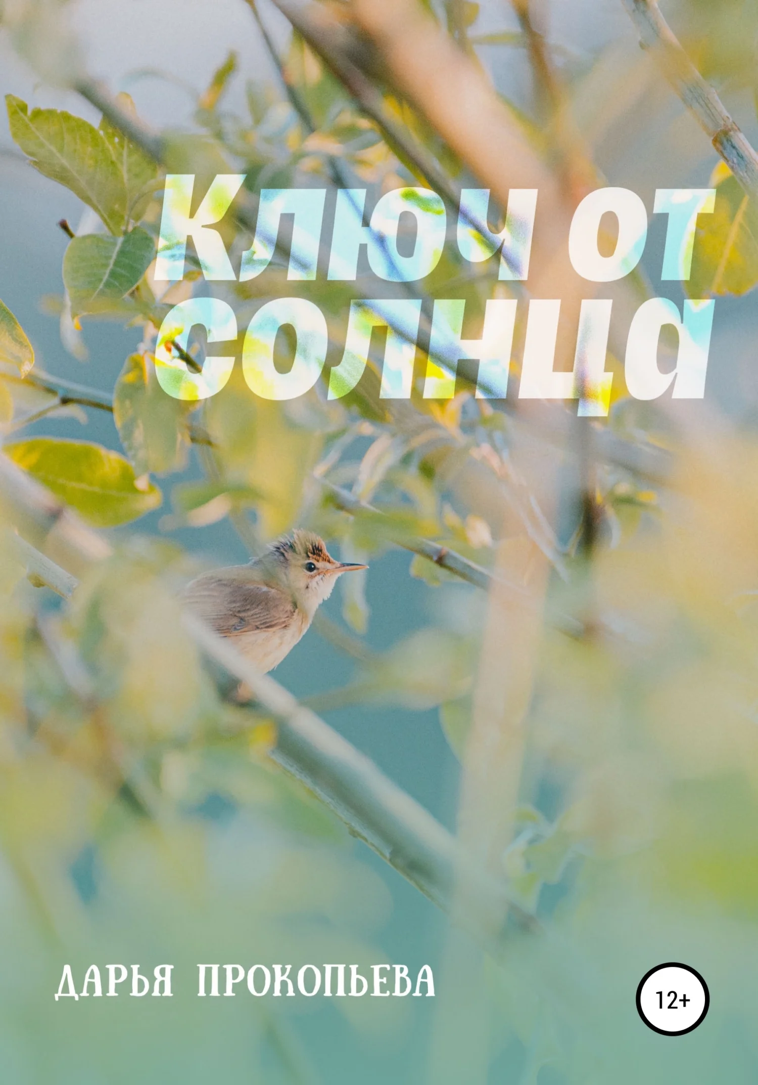 Обложка Ключ от солнца