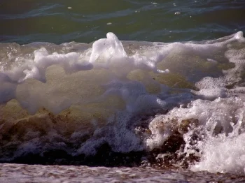 Обложка Судовая роль, или Путешествие Вероники