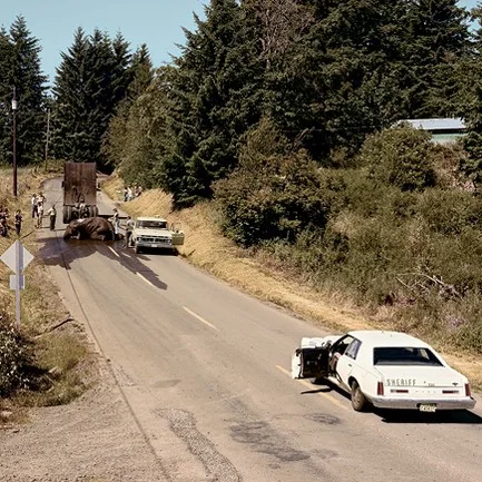 Обложка Повторяй за мной