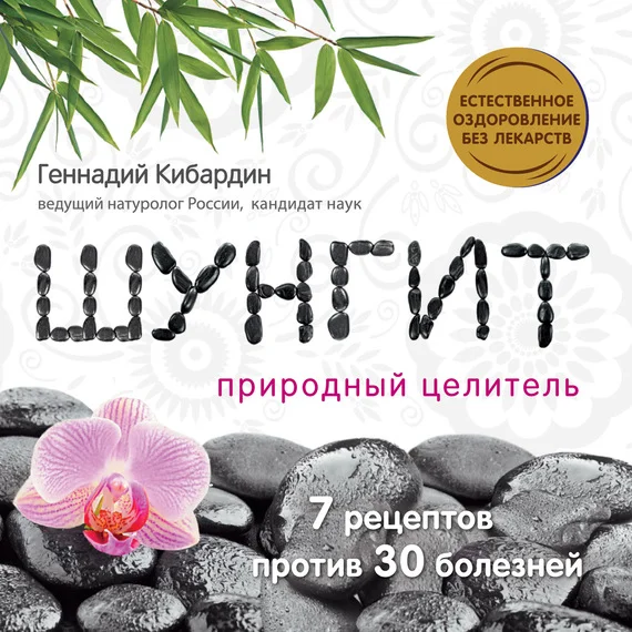 Обложка Шунгит: Природный целитель