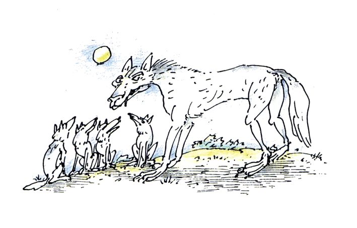 Обложка Эрнст-Габриэль