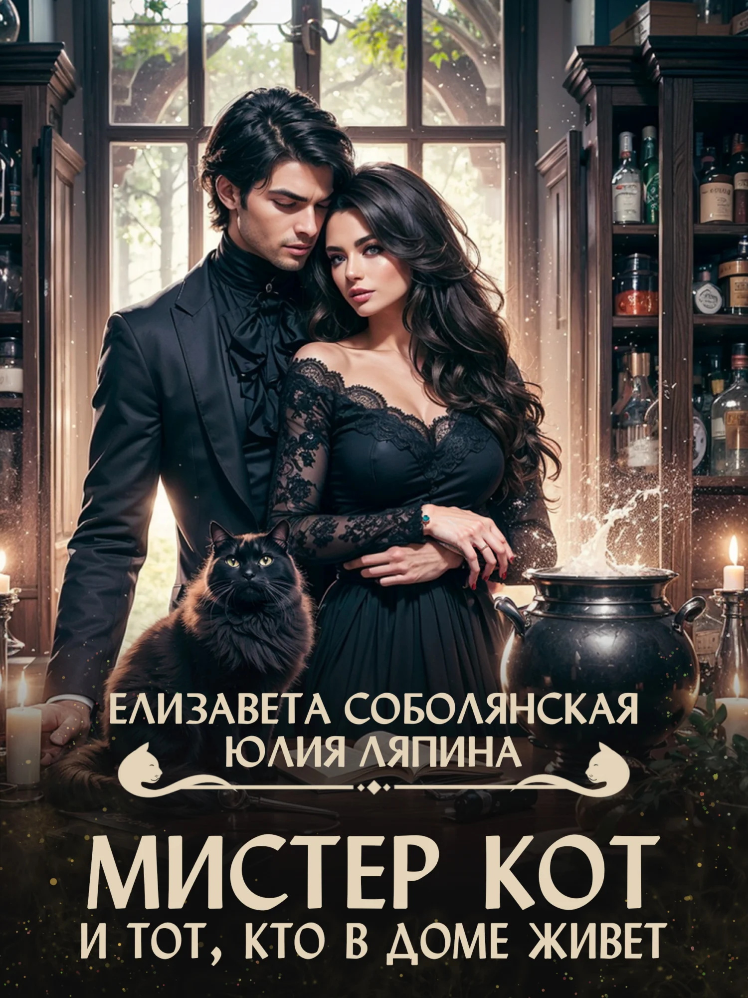 Обложка Мистер Кот и тот, кто в доме живет