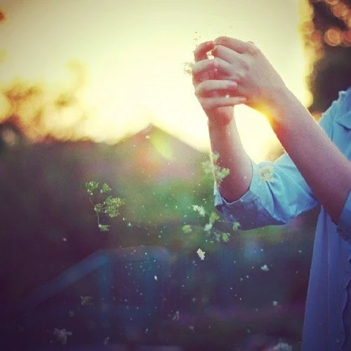 Обложка Самое время жить (СИ)