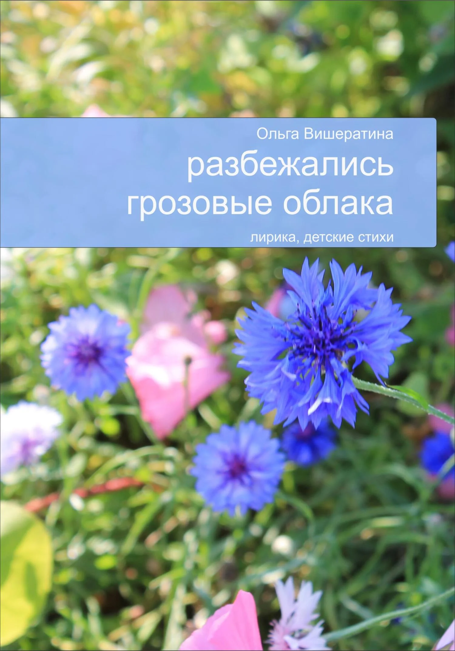 Обложка Разбежались грозовые облака