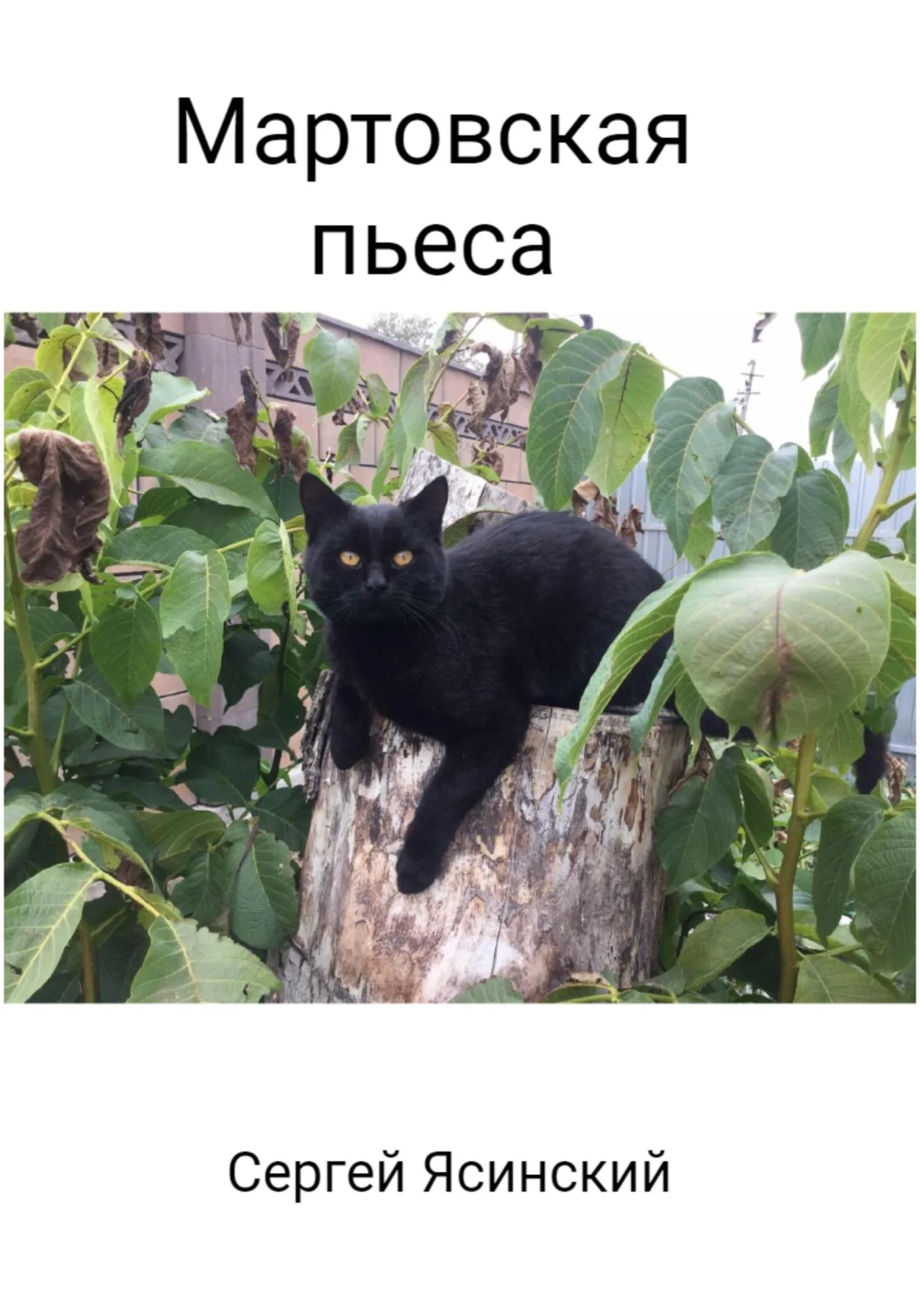 Обложка Мартовская пьеса