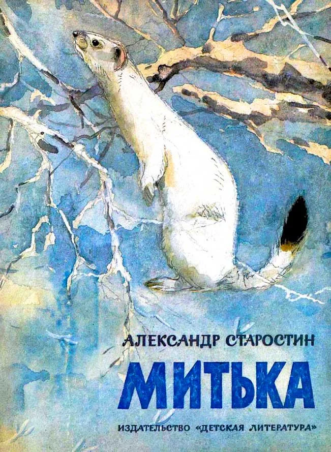 Обложка Митька