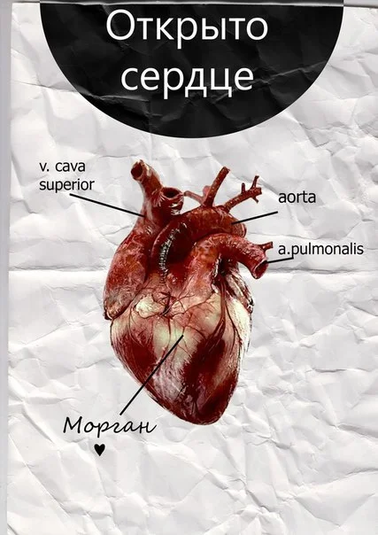 Обложка Открыто сердце (СИ)