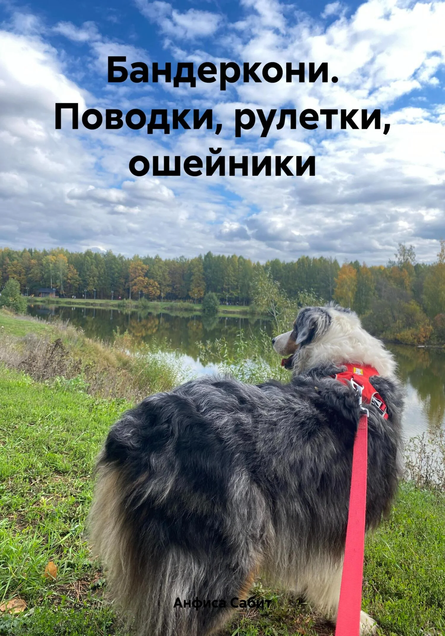 Обложка Бандеркони. Поводки, рулетки, ошейники