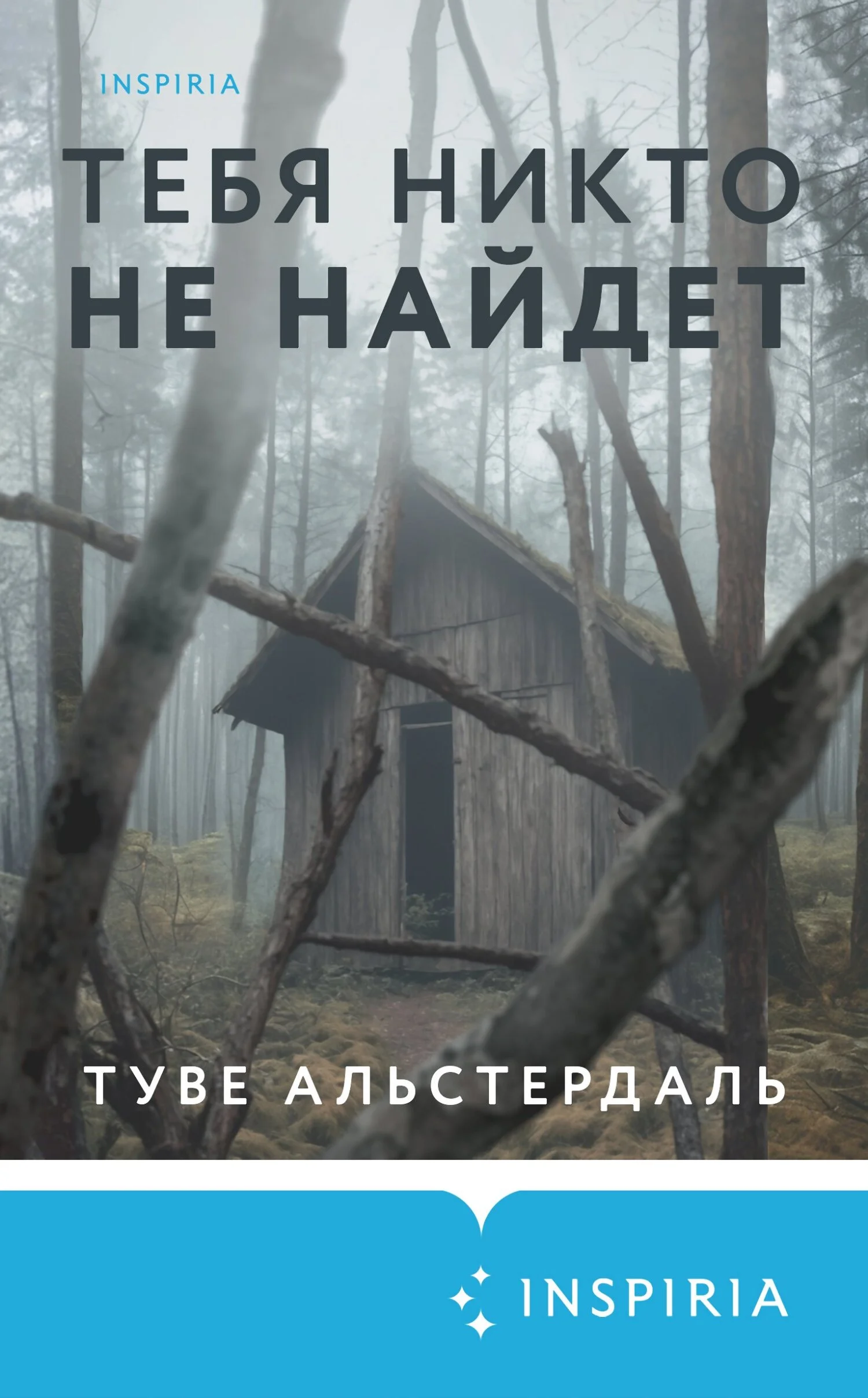 Обложка Тебя никто не найдет