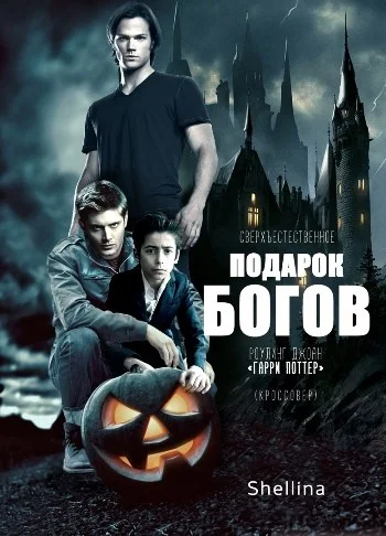 Обложка Подарок богов