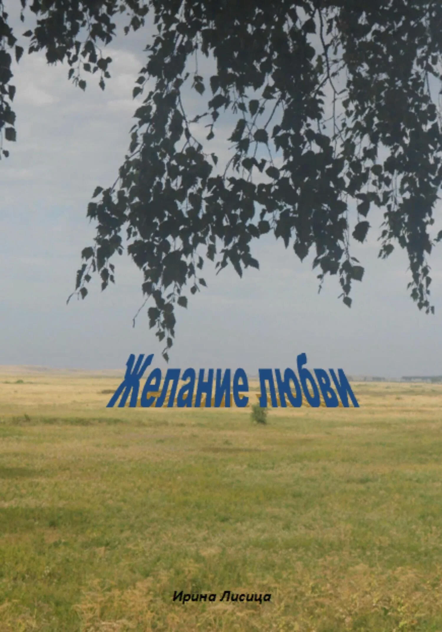 Обложка Желание любви