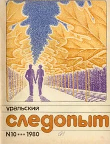 Обложка Перо ястреба