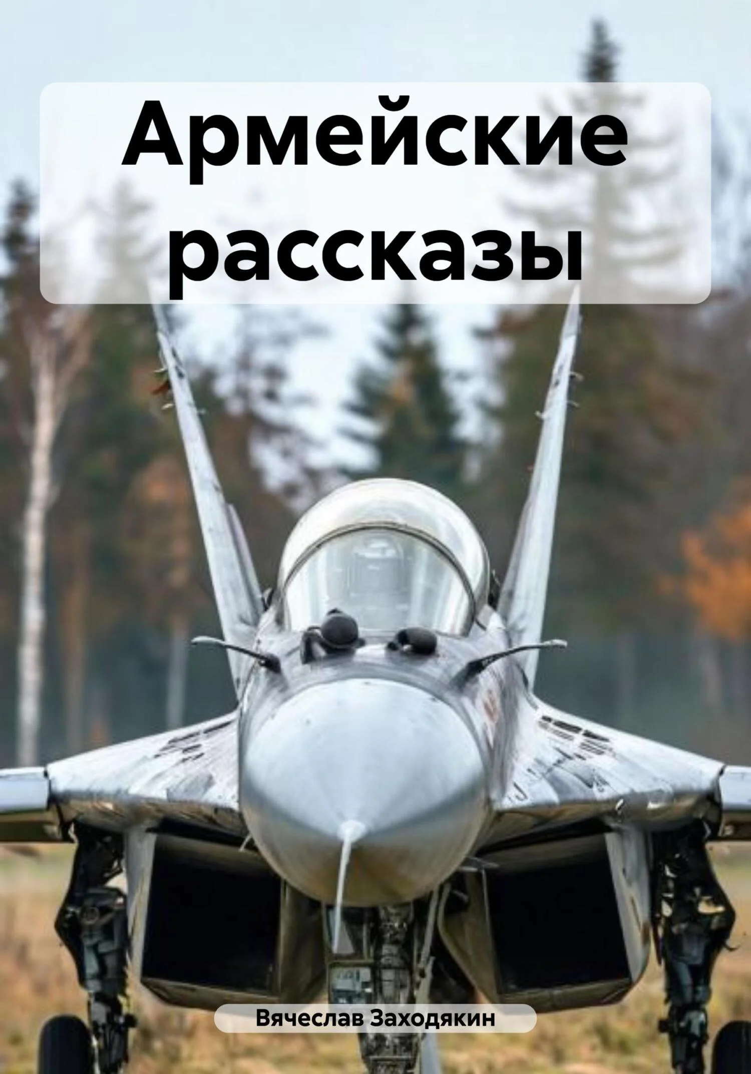 Обложка Армейские рассказы