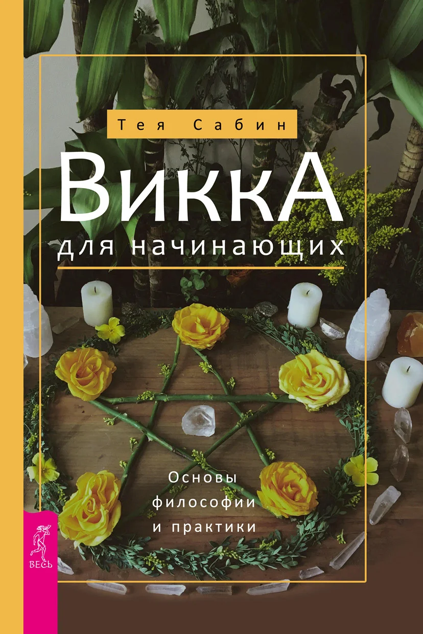 Обложка Викка для начинающих. Основы философии и практики