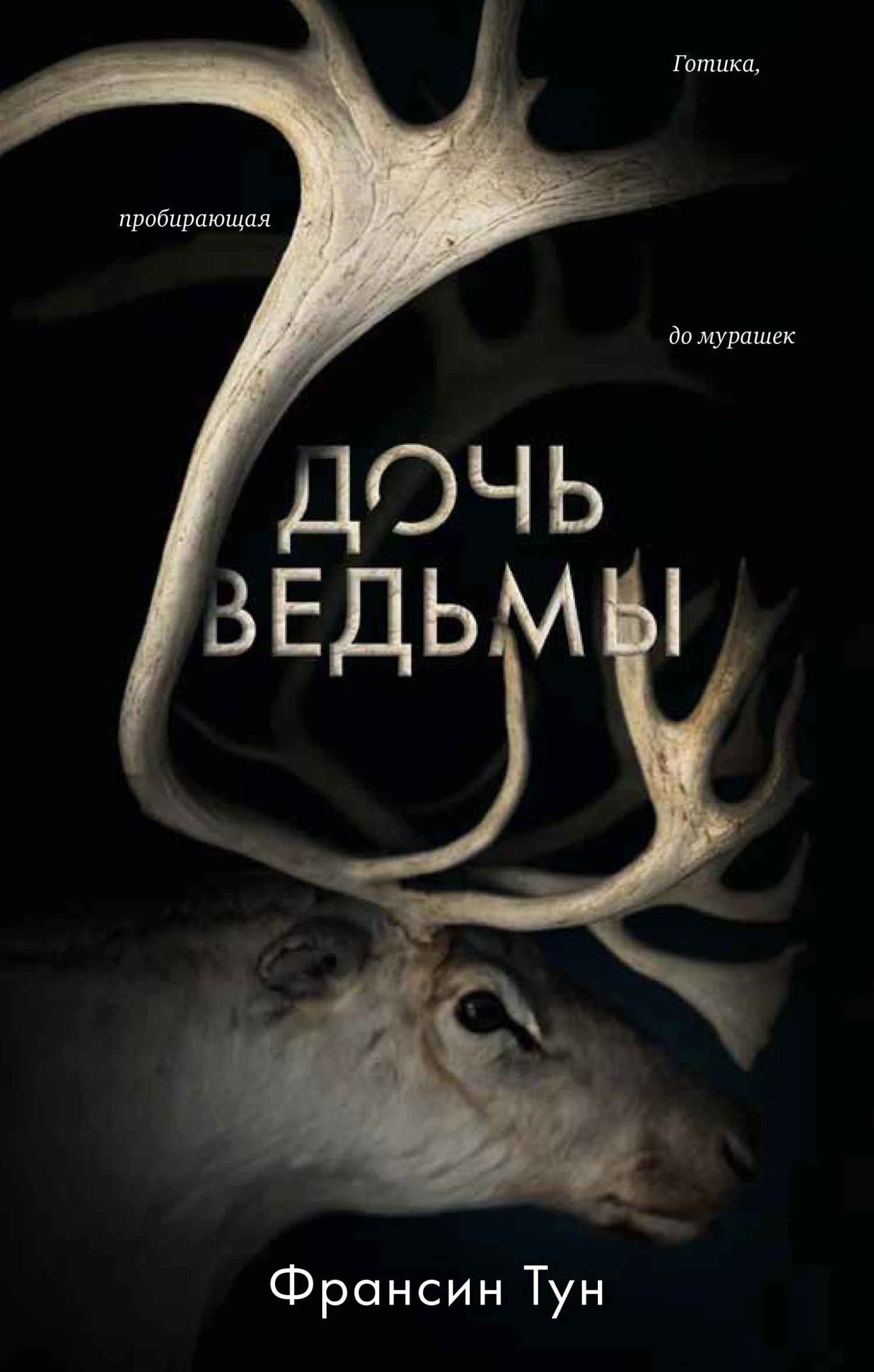 Обложка Дочь ведьмы