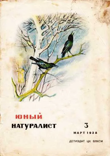 Обложка Журнал "Юный натуралист" №3, 1938