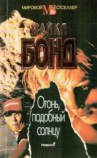 Обложка Огонь подобный солнцу