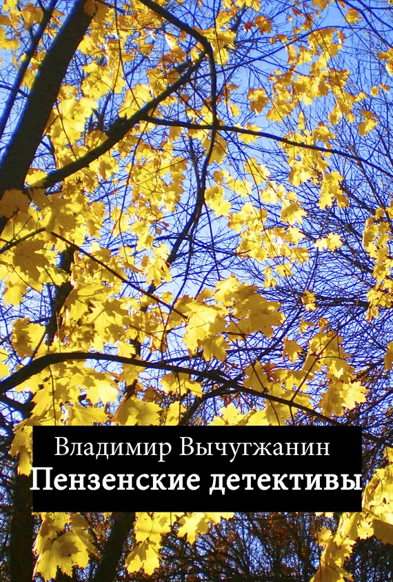 Обложка Пензенские детективы