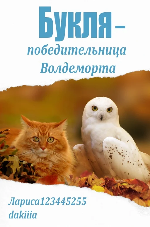 Обложка Букля — победительница Волдеморта
