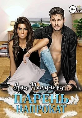 Обложка Парень напрокат