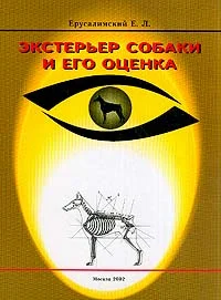 Обложка Экстерьер собаки и его оценка