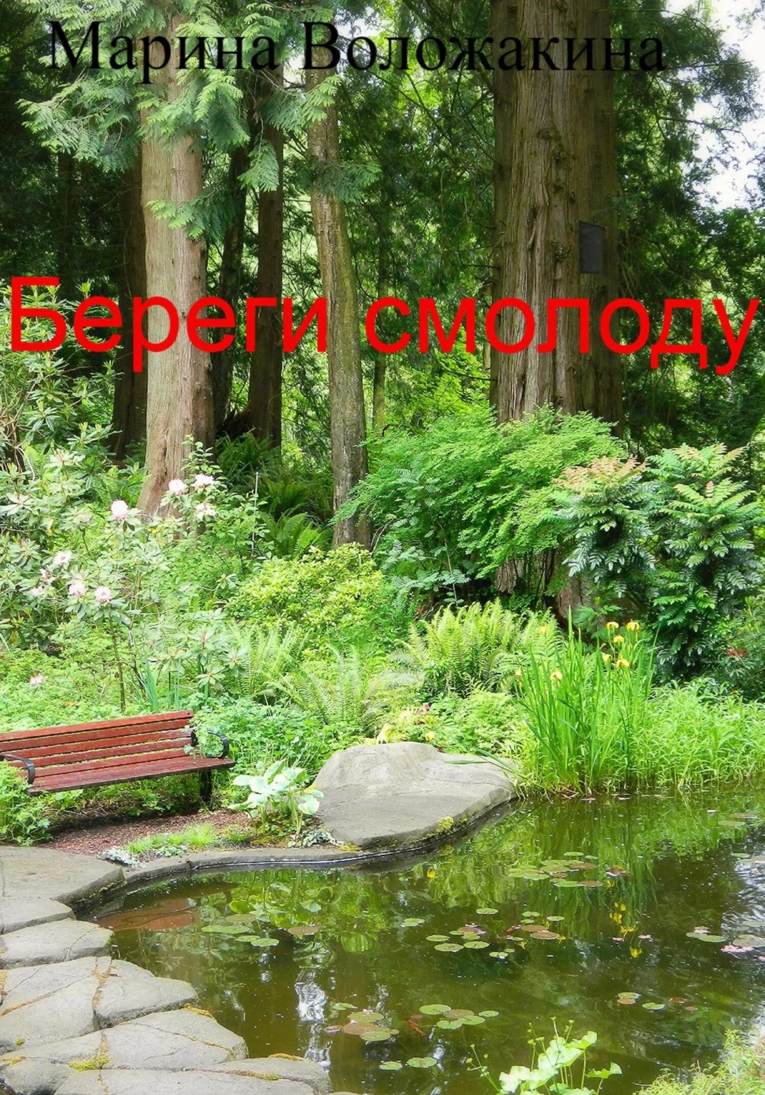 Обложка Береги смолоду