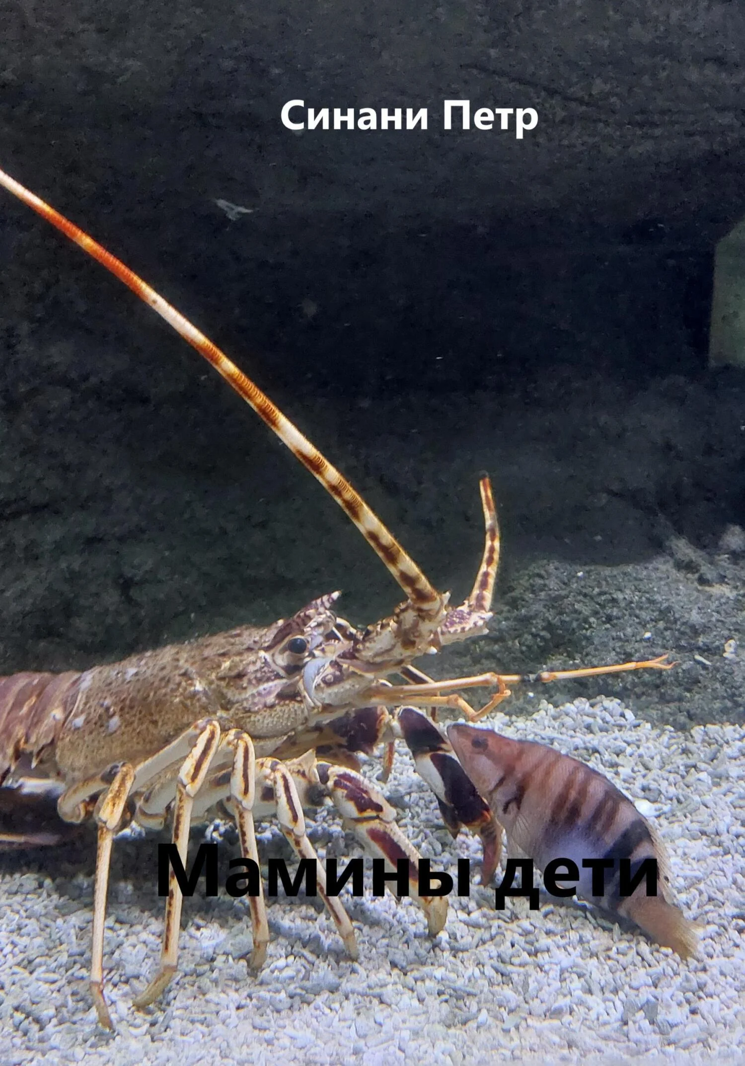 Обложка Мамины дети