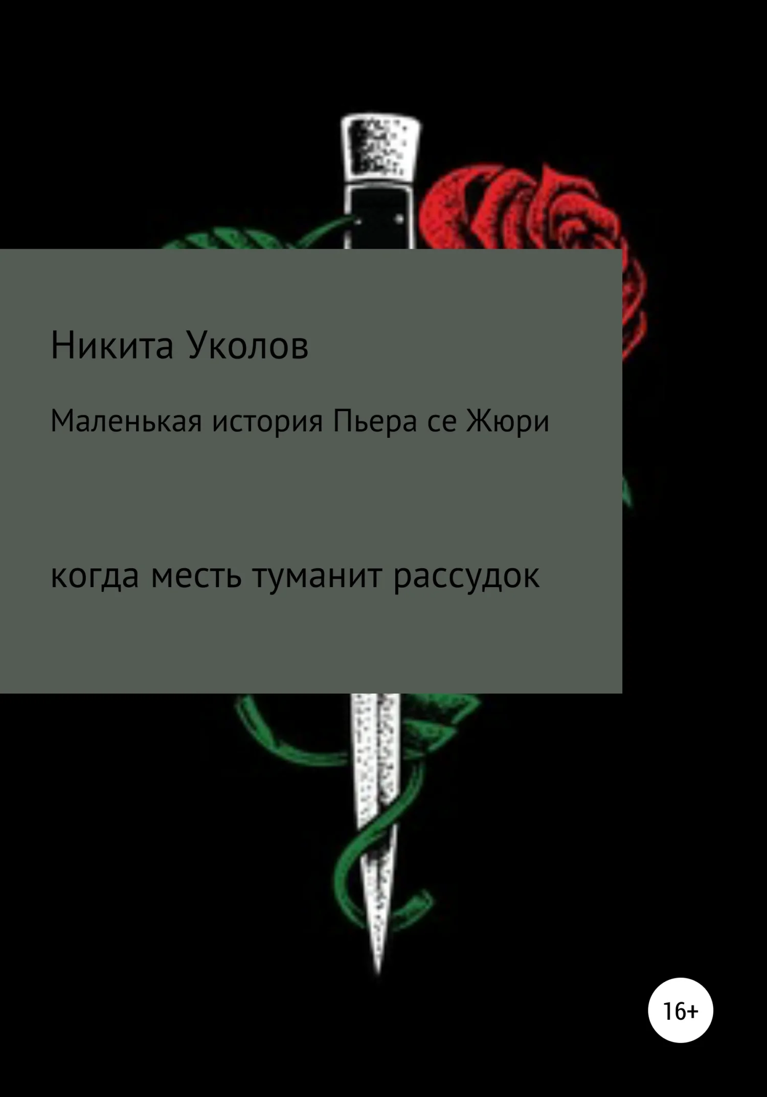 Обложка Маленькая история Пьера се Жюри