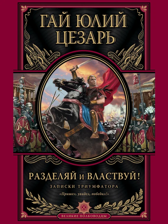 Обложка Разделяй и властвуй. Записки триумфатора