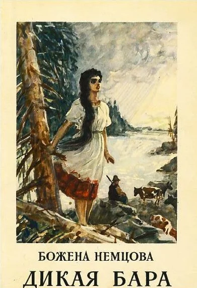 Обложка Дикая Бара