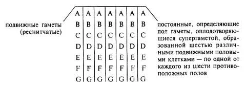 Обложка Венера и семь полов