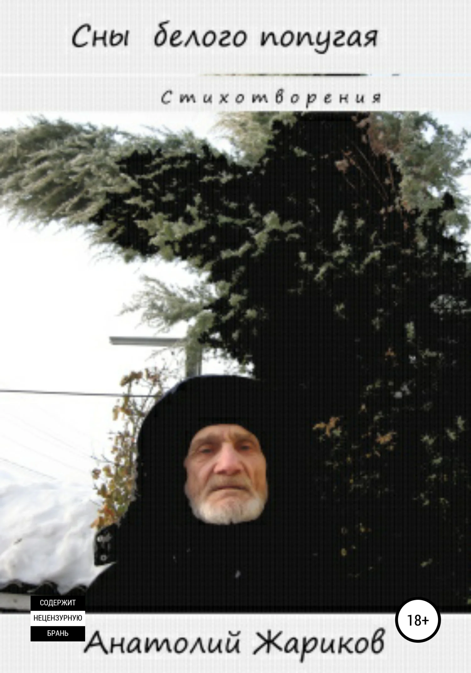 Обложка Сны белого попугая