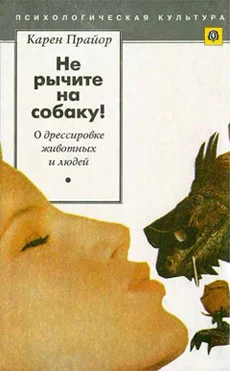 Обложка Не рычите на собаку! (О дрессировке животных и людей)