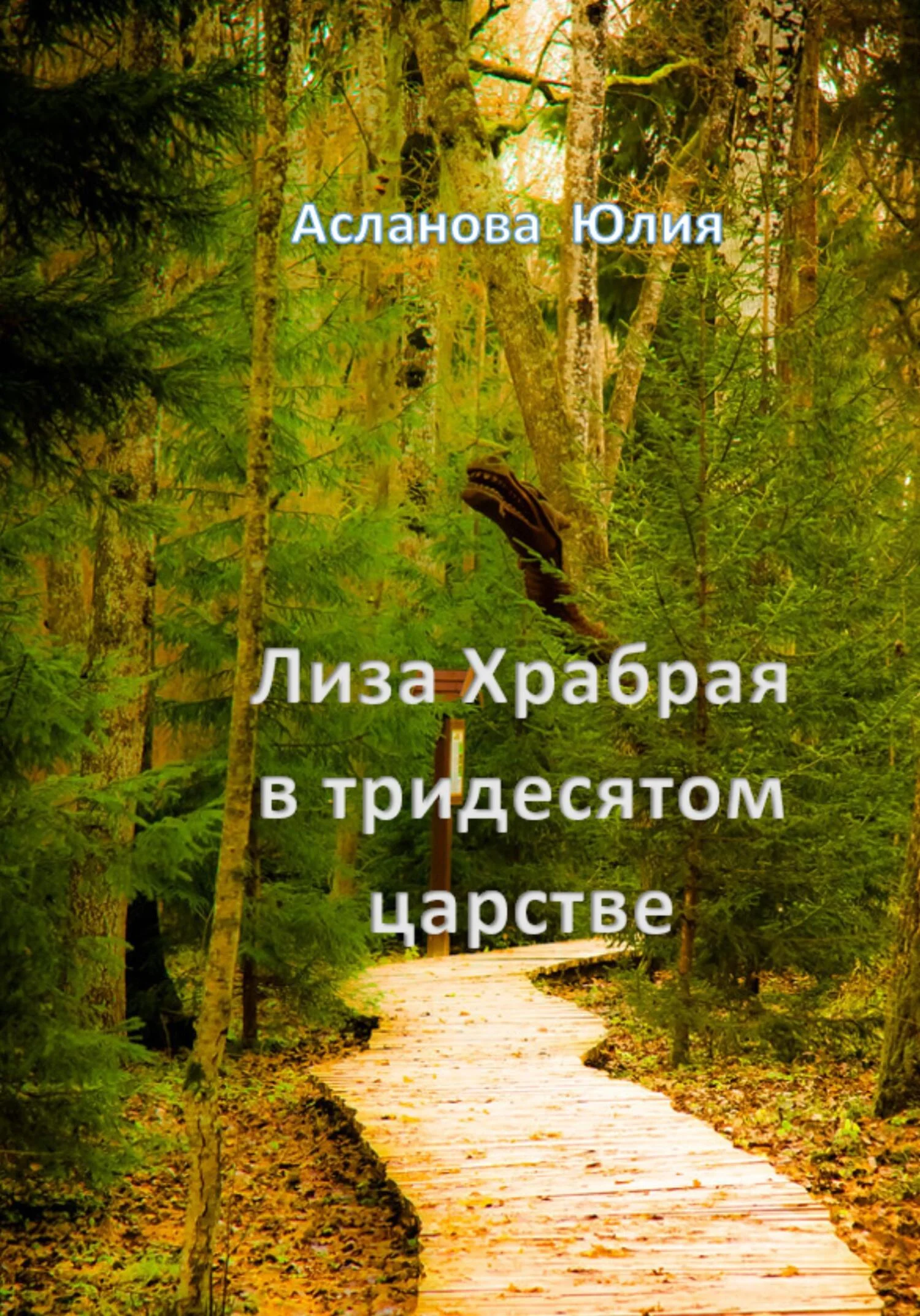 Обложка Лиза Храбрая в тридесятом царстве