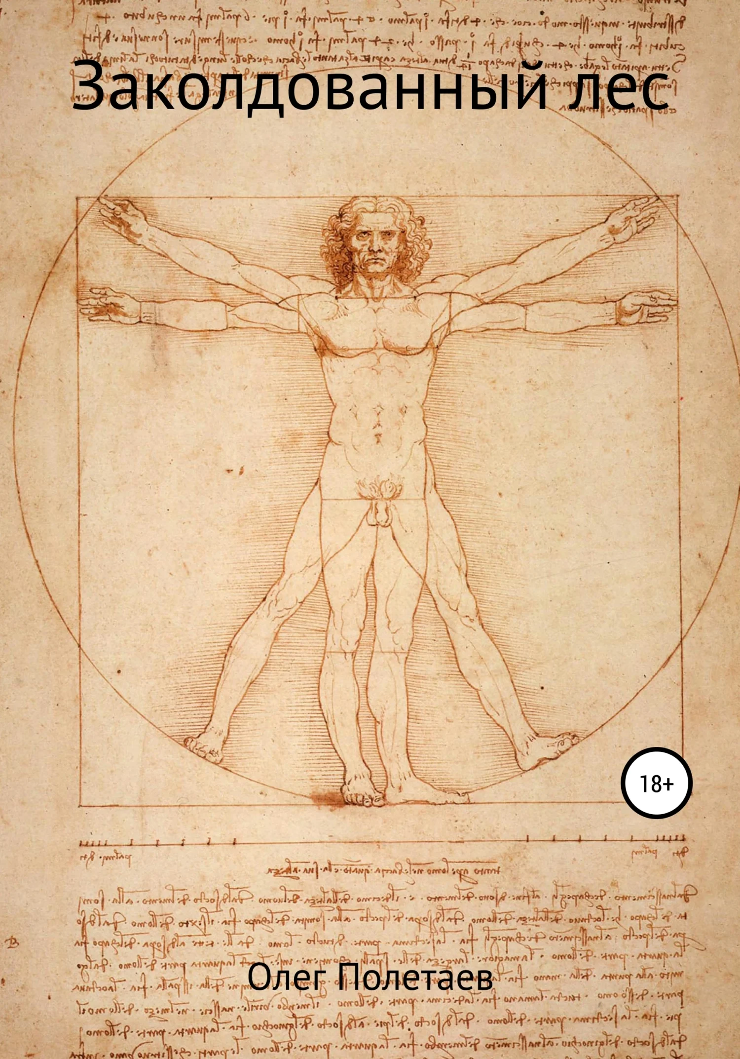 Обложка Заколдованный лес