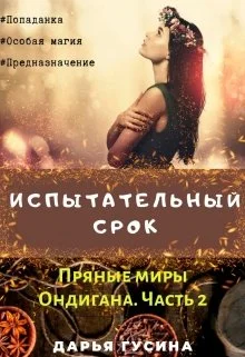 Обложка Испытательный срок
